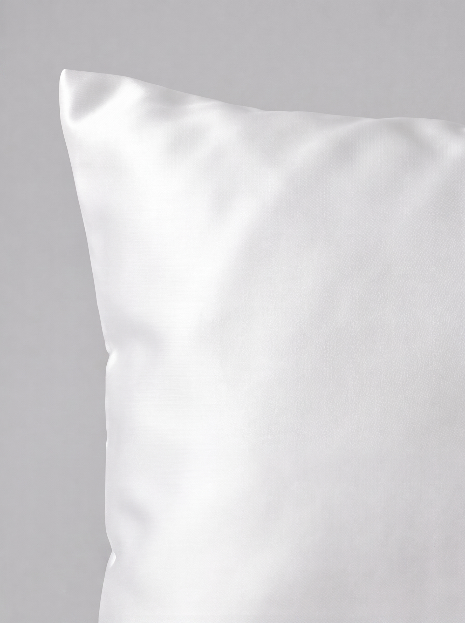 SILVER ION™ SILK PILLOWCASE